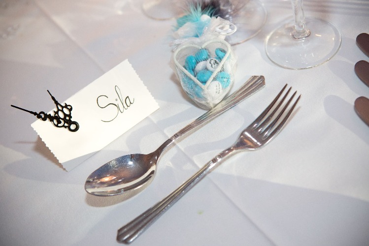 Mariage Bleu et Blanc Cendrillon 7.jpg